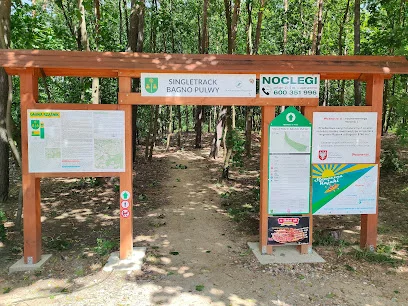 Leśna ścieżka rowerowa Leszczydoł-Nowiny – Porządzie – Rząśnik