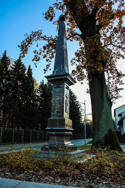 Obelisk Wazów w Wyszkowie